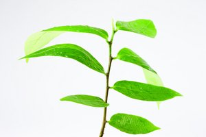 超时控制落地难在哪？解决方案来了